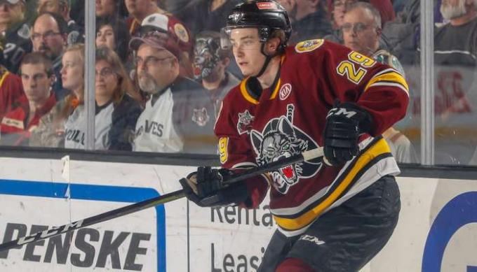 Iowa Wild vs. Chicago Wolves at Wells Fargo Arena