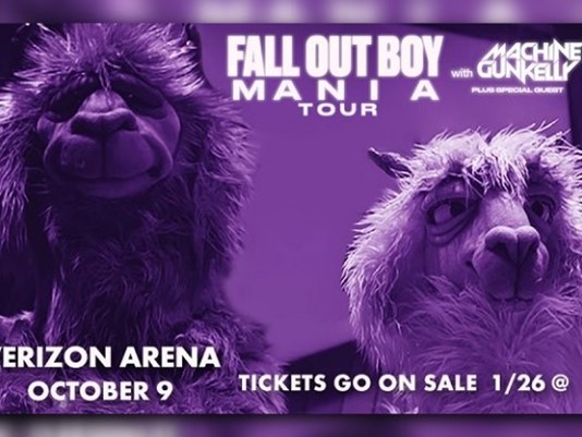 Fall Out Boy & Machine Gun Kelly at Wells Fargo Arena